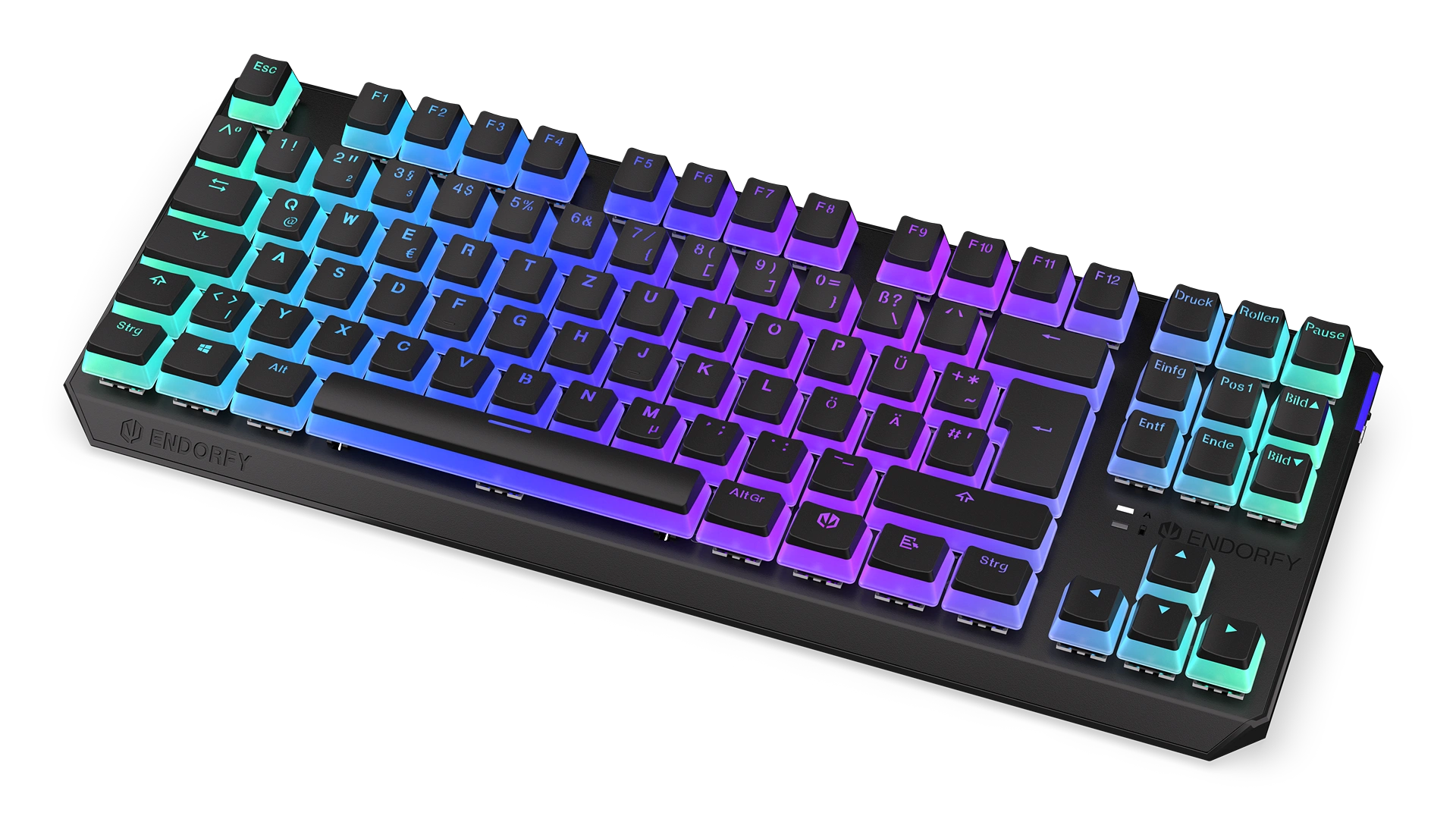 Thock TKL Wireless DE Kailh Box Red Pudding → ENDORFY : ENDORFY